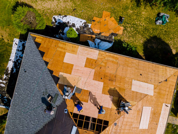 Sealant for Roof in Mount Morris, IL
