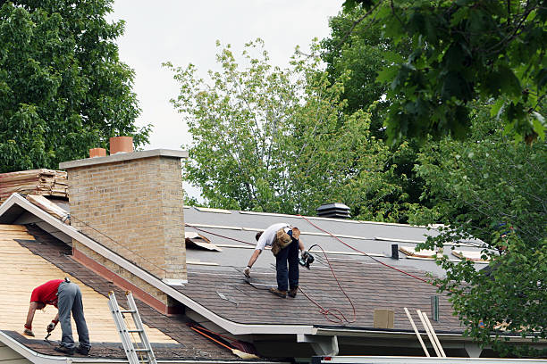 Best Flat Roof Repair Services  in Mount Morris, IL