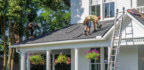 Best Metal Roofing Contractor  in Mount Morris, IL