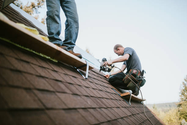 Best Commercial Roofing Services  in Mount Morris, IL