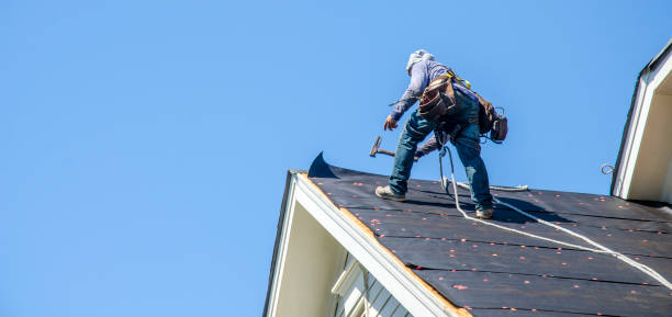 Roof Waterproofing Services in Mount Morris, IL